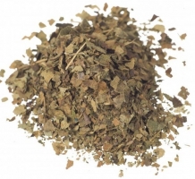 Mitragyna javanica - 50 gram